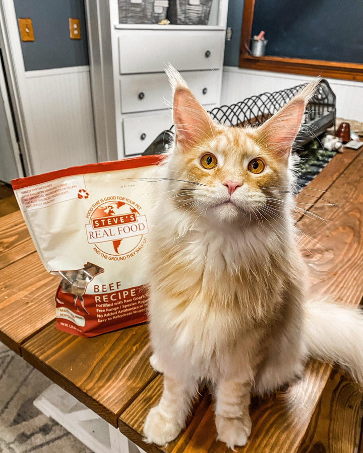 Freeze Dried Raw Pet Food: Beef Nuggets