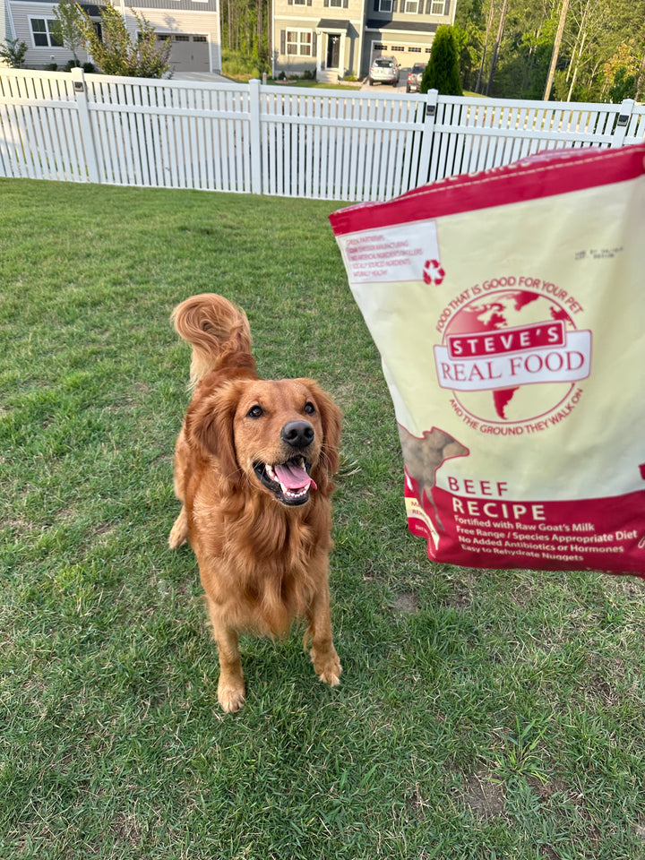 Freeze Dried Raw Pet Food: Beef Nuggets