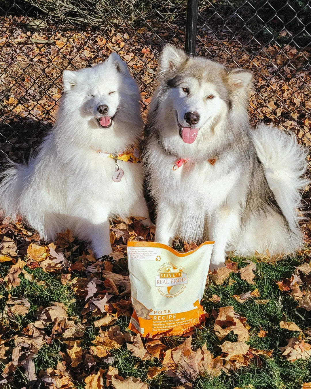 Freeze Dried Raw Pet Food: Pork Nuggets