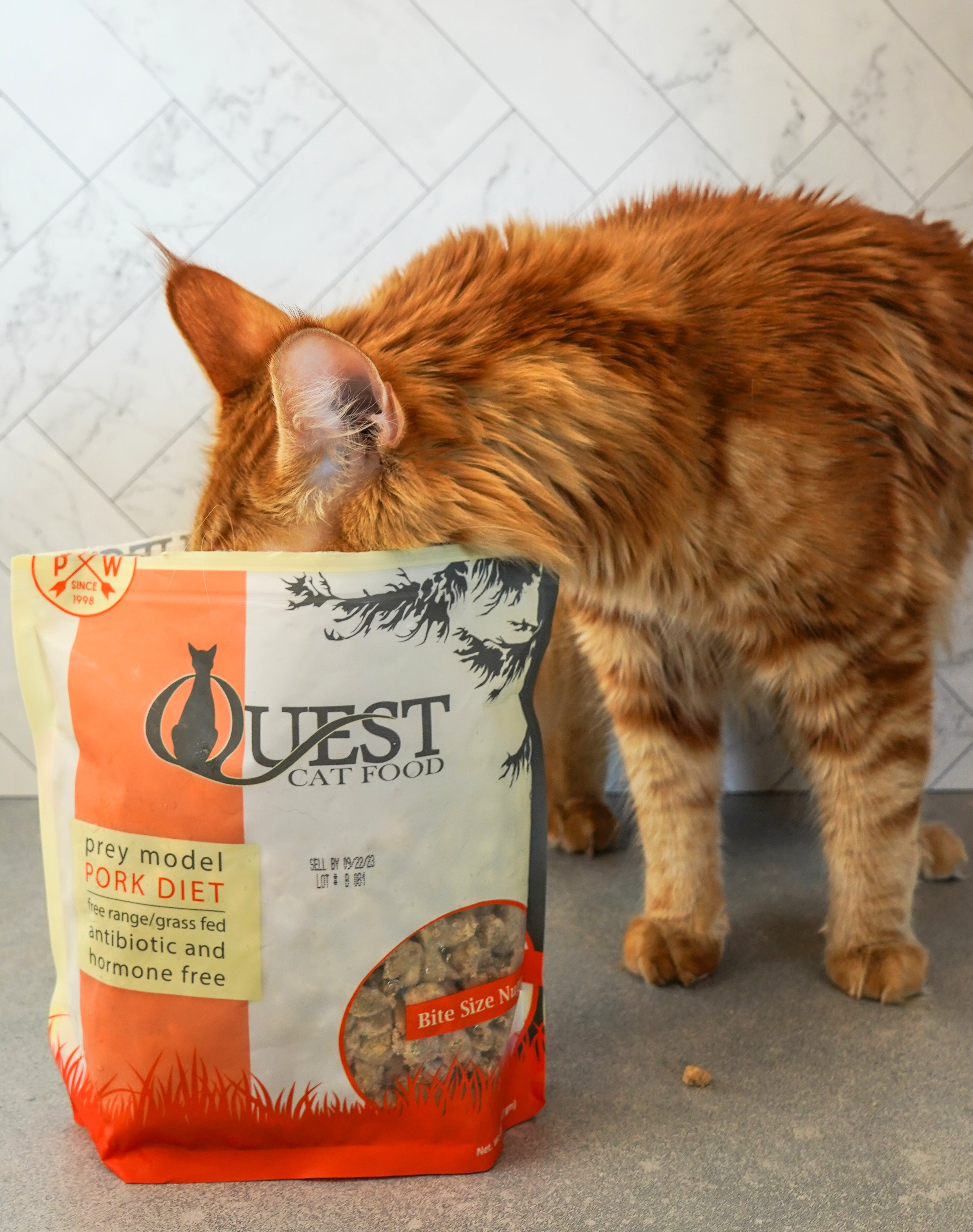 Quest Frozen Raw Cat Food Pork Diet 4 Pack Steve s Real Food Raw Pet Food