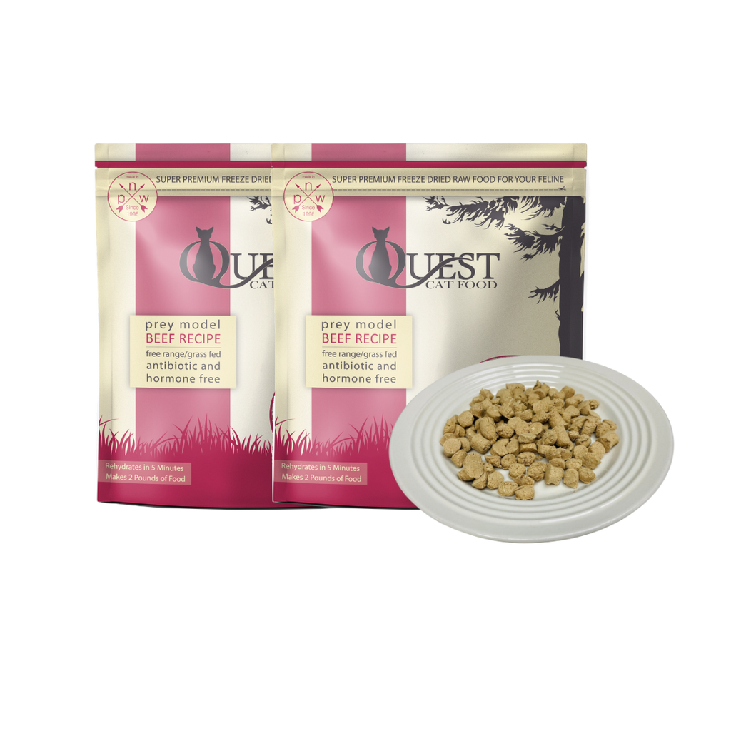 Freeze Dried Raw Cat Food Beef Diet Steve s Real Food